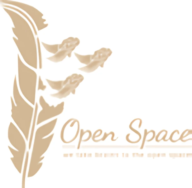 Open Space Academy logo